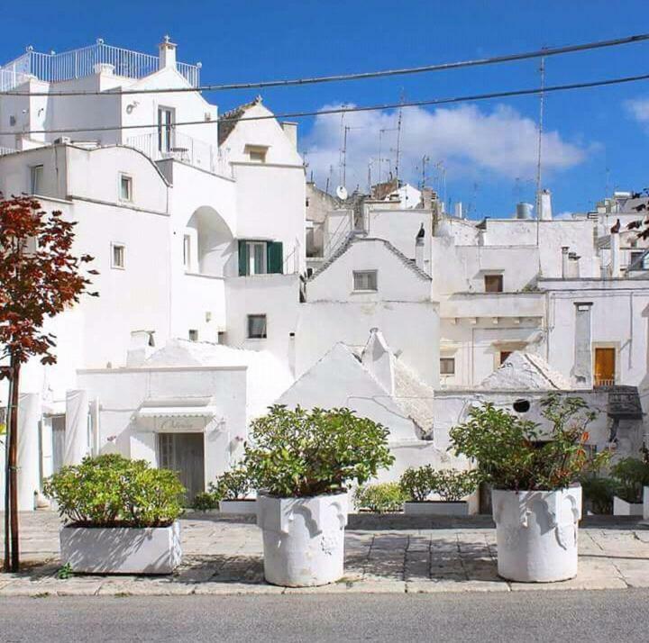 مارتينا فرانكا Lamamia المظهر الخارجي الصورة
